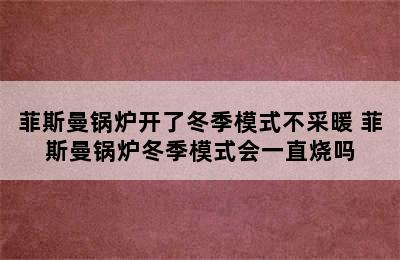 菲斯曼锅炉开了冬季模式不采暖 菲斯曼锅炉冬季模式会一直烧吗